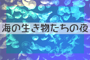 ナイトアクアリウム